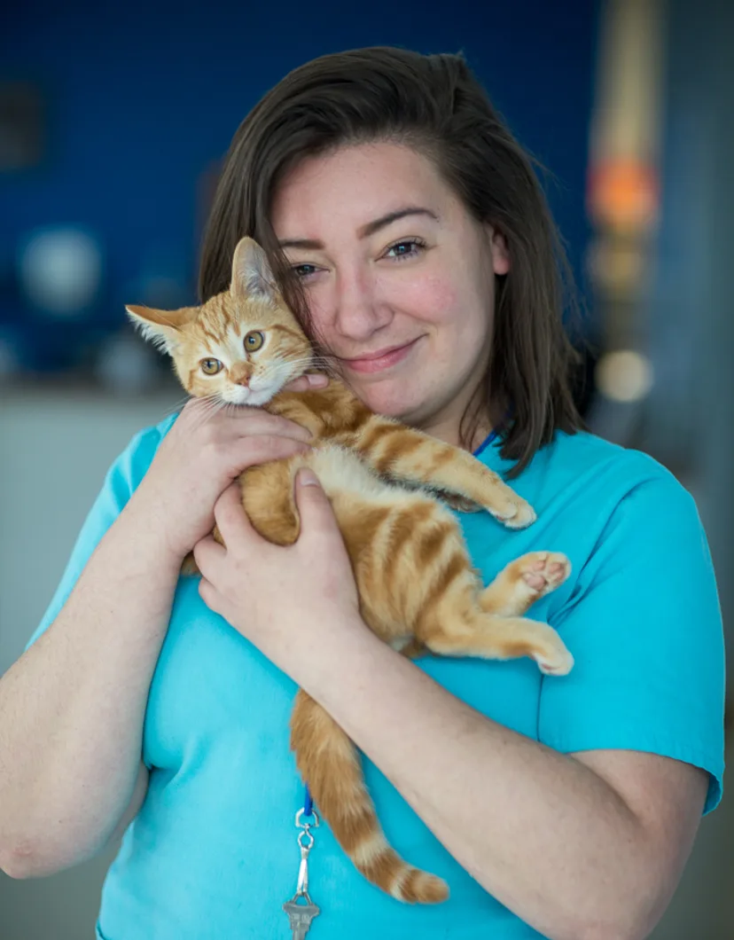 Dani holding kitten at Tacoma Animal Hospital